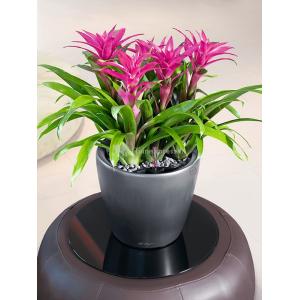 Lechuza Classico LS Anthracite M 35x33 cm ronde antraciete bloempot