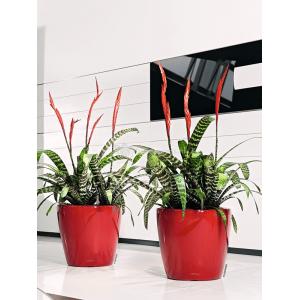 Lechuza Classico LS Red M 35x33 cm ronde rode bloempot