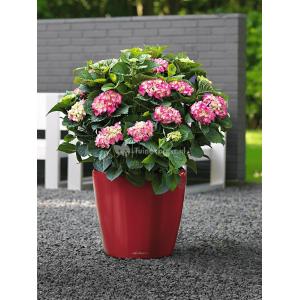 Lechuza Classico LS Red M 35x33 cm ronde rode bloempot