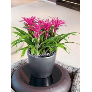 Lechuza Classico LS Silver M 35x33 cm ronde zilveren bloempot