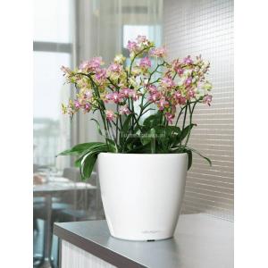 Lechuza Classico LS White M 35x33 cm ronde witte bloempot