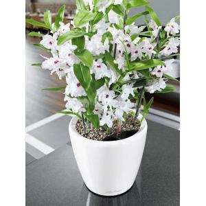 Lechuza Classico LS White XS 21x20 cm ronde witte bloempot