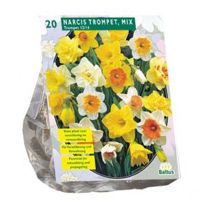 Baltus Narcis Trompet Mix narcissen bloembollen per 20 stuks