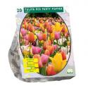 Baltus Tulipa Mix Party Popper tulpen bloembollen per 20 stuks