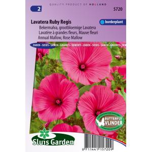 Bekermalva bloemzaden – Lavatera Ruby Regis