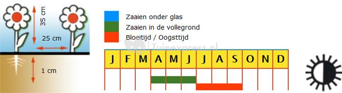 Lage enkele Oost-Indische kers bloemzaden – Oost-Indische kers Tom Thumb mix