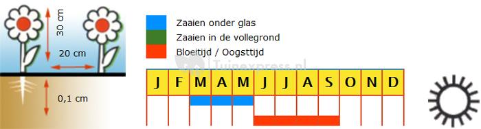 Lage petunia bloemzaden – Choice mixed