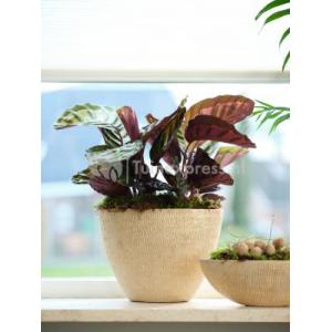 Planter Ryan Shiny Sand 33 cm ovale bloempot binnen ovaal