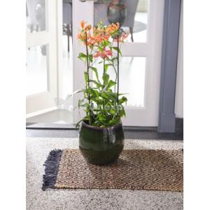 Pot Charlotte green bloempot binnen 19 cm