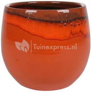 bellen plug verfrommeld Ter Steege Pot Charlotte orange bloempot binnen 29 cm | Plantenwinkel.nl