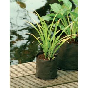 Waterplantzak rond 15 cm